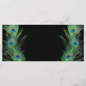 Groene veren met zwart trouwprogramma programma (Achterkant)