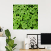 Groene verse shamrock, geluk Sint Patricks klaver Poster (Thuiskantoor)