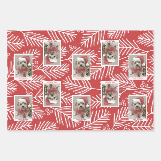 Groene vertakkingen Merry Calligraphy Photo white  Inpakpapier Vel (Voorkant 2)