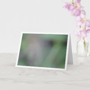 Groene vervaging achtergrond kaart