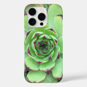 Groene vetplant met paarse punten Close-up foto iPhone 16 Pro Hoesje