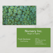 Groene vetplanten Echeveria Planten Visitekaartje (Voorkant / Achterkant)
