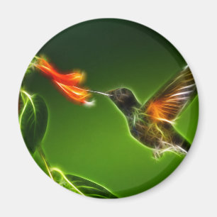 Groene Violetar Hummingbird Magneet