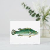  groene vis briefkaart (Staand voorkant)