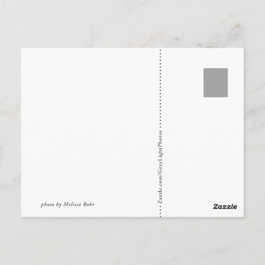 Groene vis briefkaart (Achterkant)