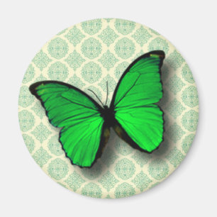Groene vlinder op  patroon magneet