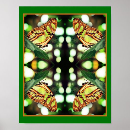 Groene vlinder Posing Abstract Poster (Voorkant)