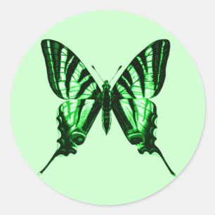 Groene Vlinder Sticker
