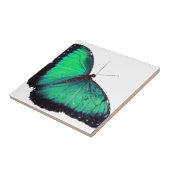 Groene vlinder tegeltje (Zijkant)
