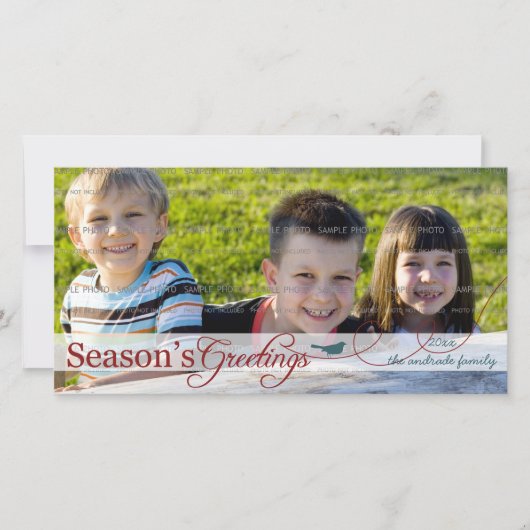 Groene vogel op Wervelende Kerstkaart (Voorkant)