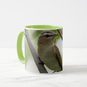 Groene vogel, roodogige video, Canadese fotografie Mok