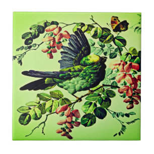  Groene Vogelillustratie door L. Prang & Co  Tegeltje