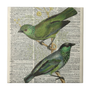 Groene vogels over woordenboekpagina tegeltje