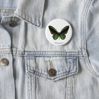 Groene vogelvlinder ronde button 5,7 cm