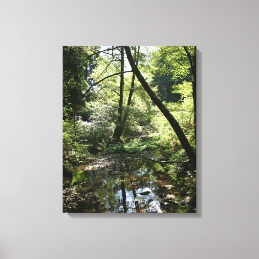 "Groene vrede", Muir Bossen Canvas Afdruk (Voorkant)