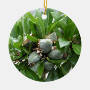 Groene vruchten van een amandelboom keramisch ornament