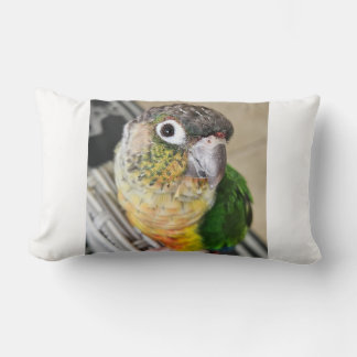 Groene wang Conure Parrot Kussen