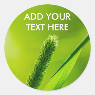 Groene wereld ronde sticker