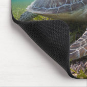 Groene Zee schildpad in duusk | Akumal Bay Muismat (Hoek)