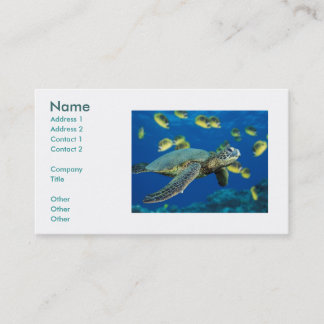 Groene Zee schildpad, naam, adres 1, adres 2, C... Visitekaartje