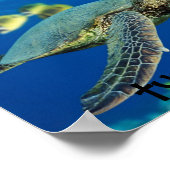 Groene Zee schildpad, schildpad.. schildpad! Poster (Hoek)