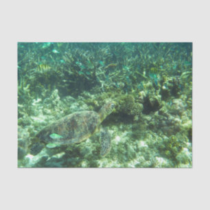 Groene Zee schildpad, tropische vis en koraal Tissuepapier