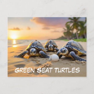 Groene zee schildpadden op het strand met gebarste briefkaart