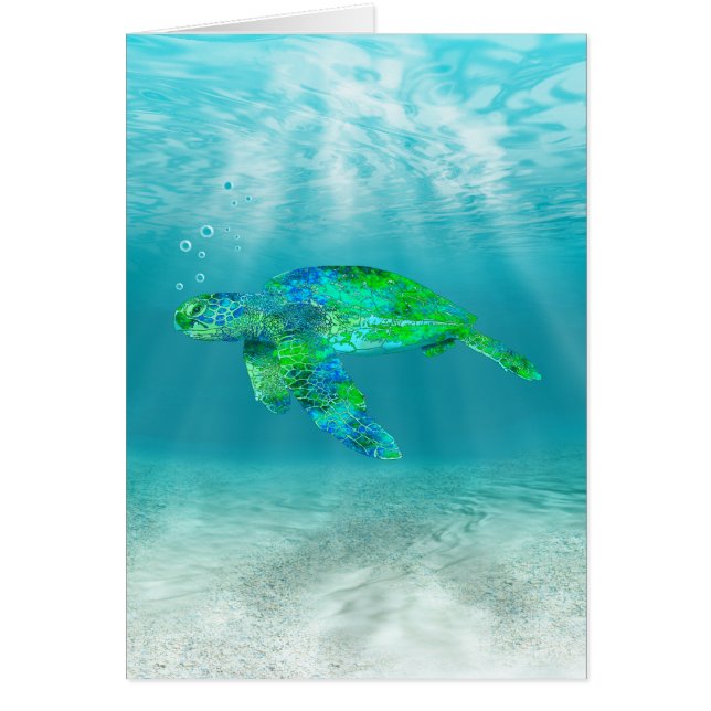 Groene Zee Turtle (Voorkant)
