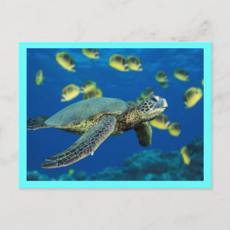 Groene Zee Turtle Briefkaart