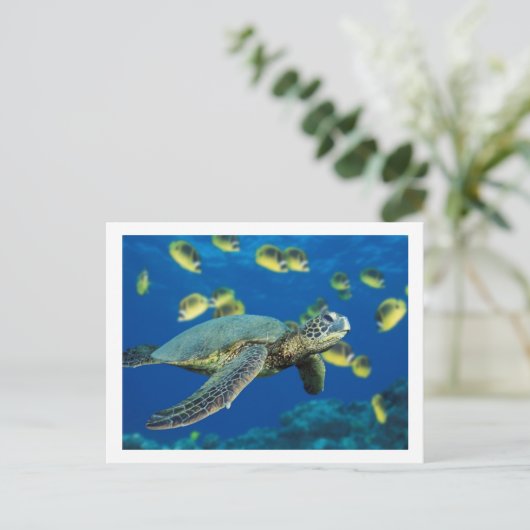 Groene Zee Turtle Briefkaart (Staand voorkant)