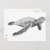 Groene Zee Turtle Briefkaart (Voorkant / Achterkant)