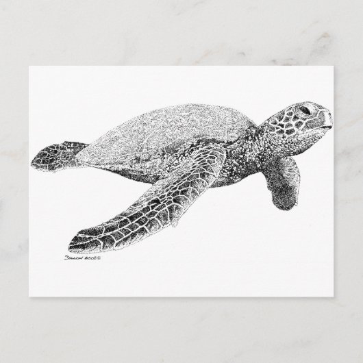 Groene Zee Turtle Briefkaart (Voorkant)