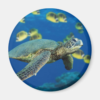 Groene Zee Turtle Magneet