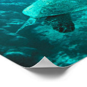 Groene Zee Turtle Poster (Hoek)