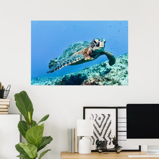 Groene Zee Turtle Poster (Thuiskantoor)