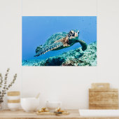 Groene Zee Turtle Poster (Keuken)