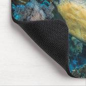 Groene Zee Turtle | Rood Zee Muismat (Hoek)