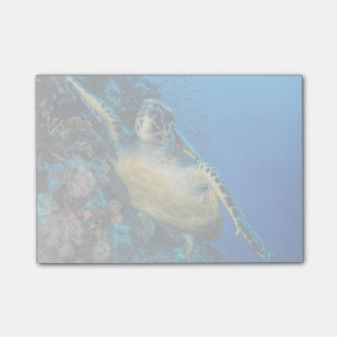 Groene Zee Turtle   Rood Zee Post-it® Notes