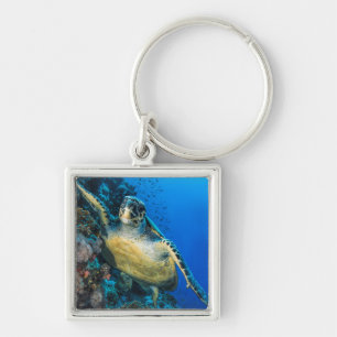Groene Zee Turtle Rood Zee Sleutelhanger