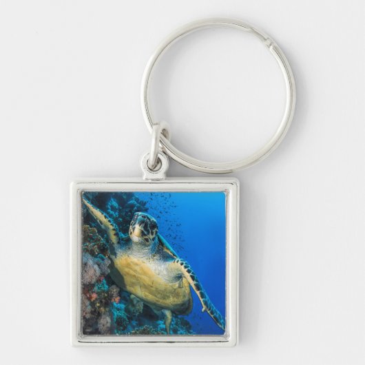 Groene Zee Turtle | Rood Zee Sleutelhanger (Voorkant)