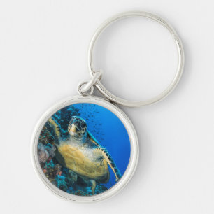 Groene Zee Turtle Rood Zee Sleutelhanger