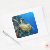 Groene Zee Turtle | Rood Zee Vierkante Sticker (Envelop)