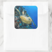 Groene Zee Turtle | Rood Zee Vierkante Sticker (Tas)
