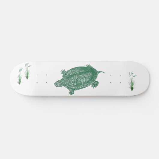 Groene Zee Turtle Skateboard (Horizontaal)