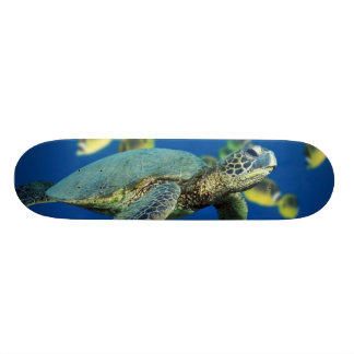 Groene Zee Turtle Skateboard