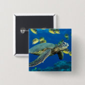 Groene Zee Turtle Vierkante Button 5,1 Cm (Voorkant /achterkant)
