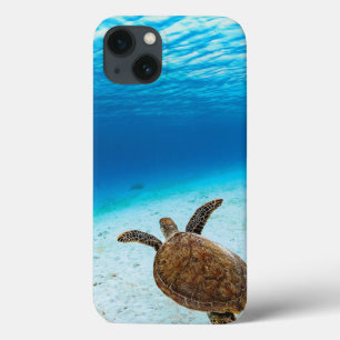 Groene zeeen schildpad, Groene schildpad, Zeeen sc iPhone 13 Hoesje