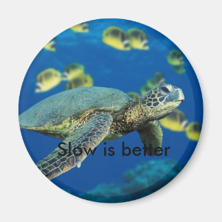 Groene Zeeen schildpad, langzaam is beter Magneet