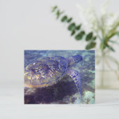 Groene Zeeen schildpadden Briefkaart (Staand voorkant)