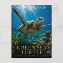 Groene Zeeschildpad Koraalrif DIEREN